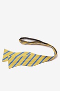 Balboa Gold Stripe Self Tie Bow Photo (1)