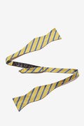 Balboa Gold Stripe Self Tie Bow Photo (2)