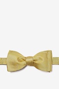 Gold Revitalize Self-Tie Bow Tie Photo (0)