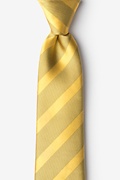 Granham Gold Extra Long Tie Photo (0)