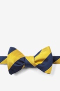 Navy And Gold Stripe Silk Self Tie Bow Tie Photo (0)