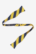 Navy And Gold Stripe Silk Self Tie Bow Tie Photo (1)