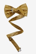 Revitalize Gold Pre-Tied Bow Tie Photo (1)