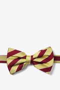 Scoula Gold Pre-Tied Bow Tie Photo (0)