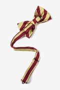 Scoula Gold Pre-Tied Bow Tie Photo (1)