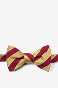 Scoula Gold Self-Tie Bow Tie Photo (0)