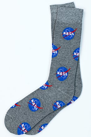 _Nasa Meatball Logo Gray Sock_