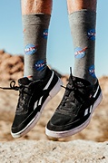 Nasa Meatball Logo Gray Sock Photo (1)