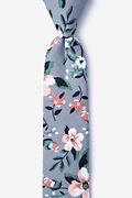 Holden Gray Skinny Tie Photo (0)