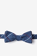 Phoenix Gray Skinny Bow Tie Photo (0)