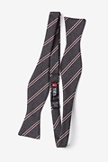Seagoville Gray Skinny Bow Tie Photo (1)