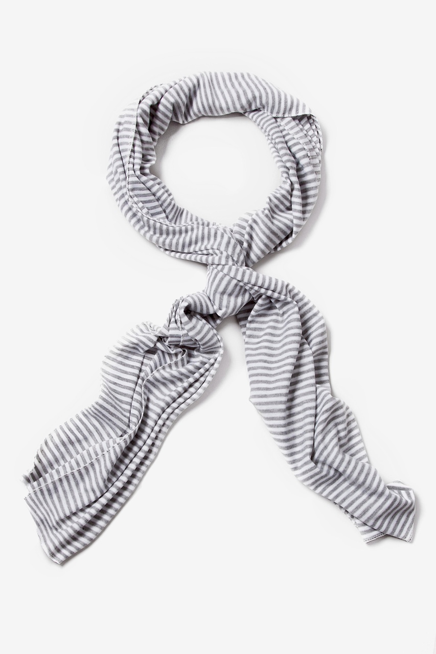 Gray Polyester Mens Candy Stripe Scarf | Ties.com