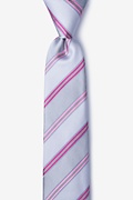 Abbert Gray Skinny Tie Photo (0)