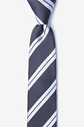 Blackwater Gray Skinny Tie Photo (0)