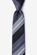 Finn Gray Skinny Tie Photo (0)