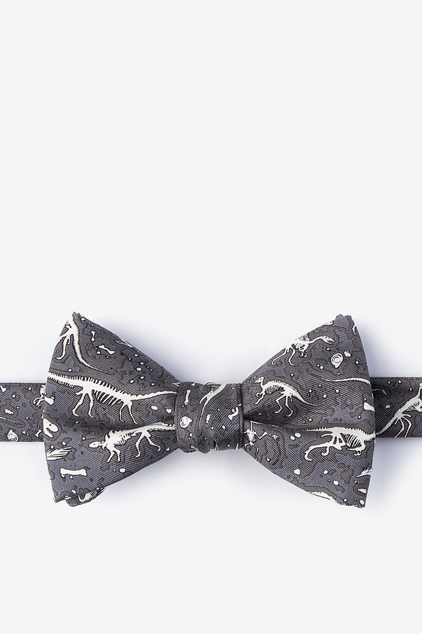 Gray Dig Fossils Bow Tie | Alynn Bow Tie | Ties.com