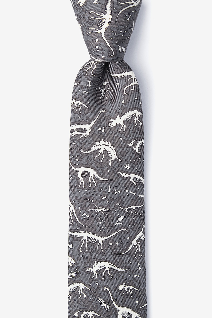 Gray Dig Fossils Skinny Tie Photo (0)