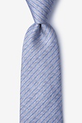 Robe Gray Extra Long Tie Photo (0)