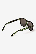 Chapman Green Sunglasses Photo (2)