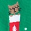 Green Carded Cotton Meowy Christmas Small-Medium Sock