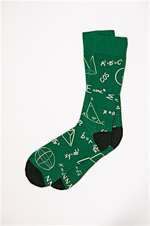 Nerd Alert Math Equation