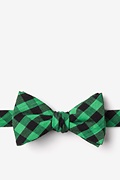Pasco Green Self-Tie Bow Tie Photo (0)