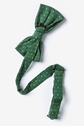 Pennington Dash Green Pre-Tied Bow Tie Photo (1)