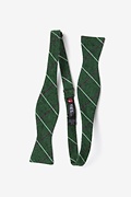 Phoenix Green Skinny Bow Tie Photo (1)
