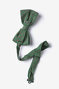 Singer Plus Green Pre-Tied Bow Tie Photo (1)