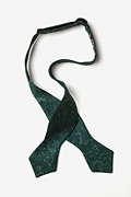 Wilsonville Green Diamond Tip Bow Tie Photo (1)