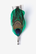 Peacock Feather