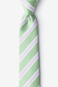 Jefferson Stripe Green Skinny Tie Photo (0)