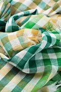 Green Party Check Scarf Photo (1)