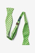 Gentlemen Bugs self tie bowtie