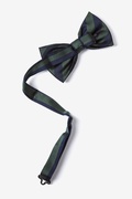 Reggimento Green Pre-Tied Bow Tie Photo (1)