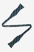 Reggimento Green Self-Tie Bow Tie Photo (1)
