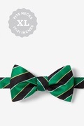 Scoula Green Self-Tie Bow Tie Photo (0)