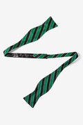 Scoula Green Self-Tie Bow Tie Photo (1)