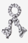 Gray Caravan Stripe Scarf Photo (2)