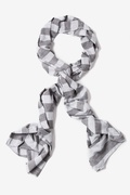 Gray Caravan Stripe Scarf Photo (2)