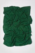 Men's Hunter Green Dakota Solid Scarf Photo (5)