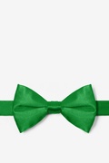 Kelly Green Pre-Tied Bow Tie Photo (0)