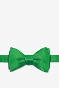 Kelly Green Self-Tie Bow Tie Photo (0)