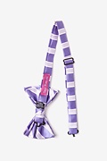 Jefferson Stripe Lavender Pre-Tied Bow Tie Photo (1)