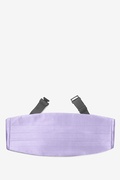 Lavender Cummerbund Photo (0)