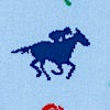 Light Blue Carded Cotton Derby Rose Small-Medium Sock