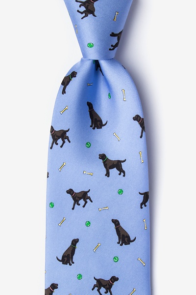 Light Blue Silk Lab Assistant Tie