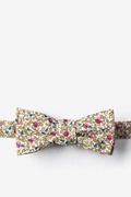 Henderson Floral Light Green Batwing Bow Tie Photo (0)