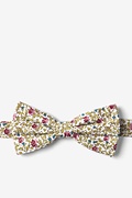 Henderson Floral Light Green Pre-Tied Bow Tie Photo (0)