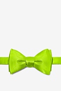 Lime Green Self-Tie Bow Tie Photo (0)